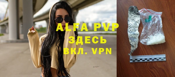 дживик Новозыбков