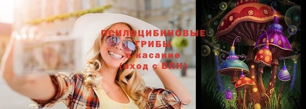 дживик Новозыбков