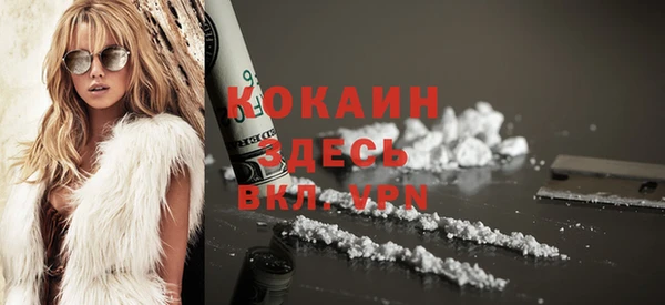 бошки Новодвинск