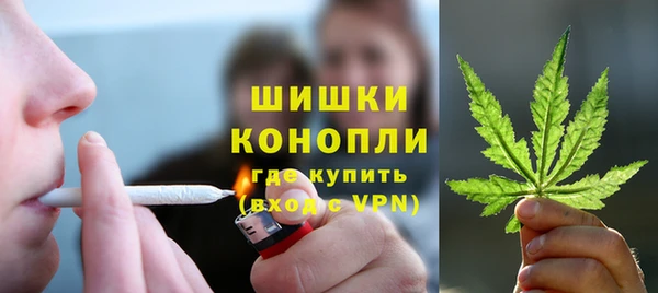 PSILOCYBIN Новокубанск
