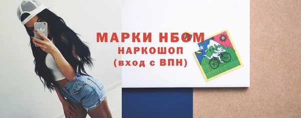 дживик Новозыбков