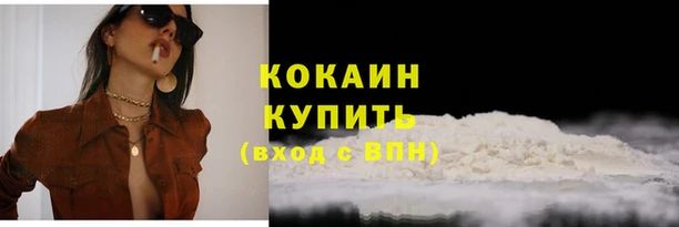 дживик Новозыбков