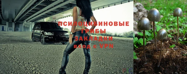 дживик Новозыбков
