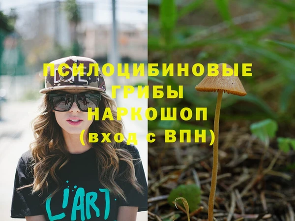 Альфа ПВП Весьегонск