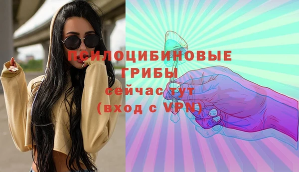 бошки Новодвинск