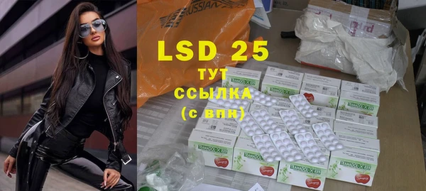 PSILOCYBIN Новокубанск