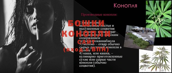 PSILOCYBIN Новокубанск