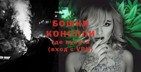 дживик Новозыбков