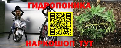 PSILOCYBIN Малоярославец
