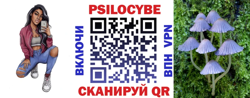 Псилоцибиновые грибы Psilocybe  гидра ссылки  Ржев  как найти закладки 