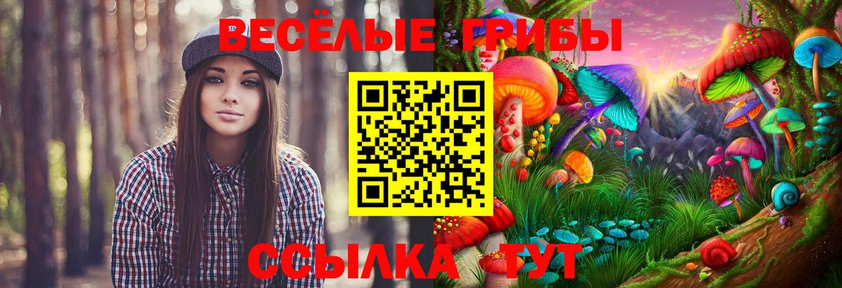 Ржев  Псилоцибиновые грибы мухоморы  Вход с VPN 