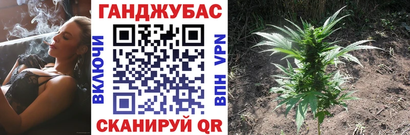 МЕГА зеркало  Ржев  Шишки марихуана VHQ 